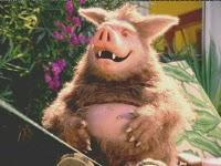 Susanne  vs. Schweinehund  - 13. Woche