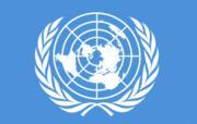 Reformen zur Stärkung der UNO sind notwendig und machbar