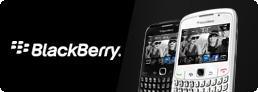 Produkttest: trnd testet das BlackBerry Curve 8520 Smartphone
