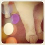 Week(end) through an iPhone #4