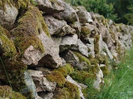 Schwedische Steinmauern