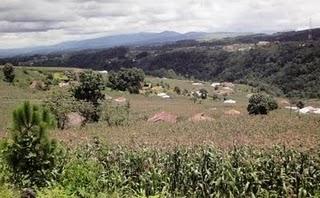 Antigua - Cobán: Hügeliger und steiler geht's nicht