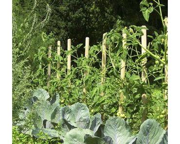 Ein Weg: mehr Selbstversorgung - neuer Selbstversorgergarten in Wuppertal