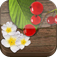 Wilde Beeren & Kräuter - NATURE MOBILE (AppStore Link) 