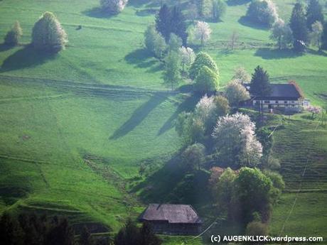 Schwarzwald