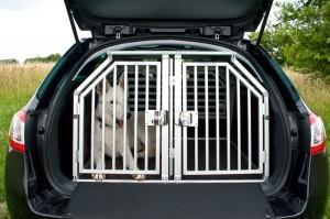 Hundetransportbox bei Peugeot: Sicherheit für vierbeinige Familienmitglieder