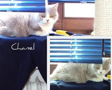 Danke, Chanel! :-)