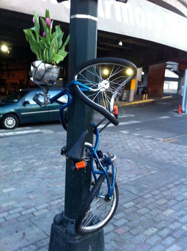 Twisted-Cycles: Fahrräder umarmen Laterne