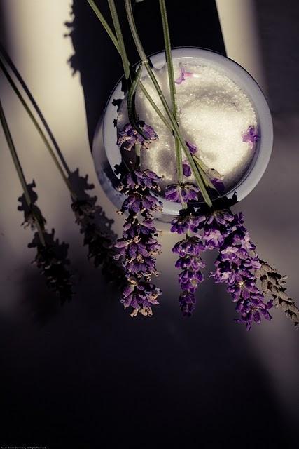 Der Lavendel noch mal