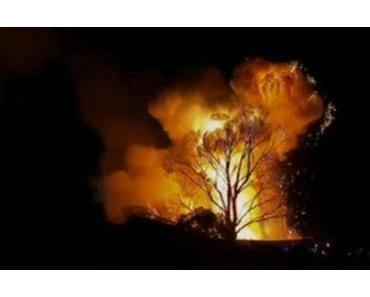 Explosionen in Chemiefabrik – Giftwolke über Australiens Canberra
