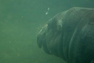 ein Besuch im Zoo Berlin