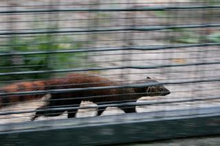 ein Besuch im Zoo Berlin