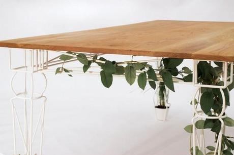 vertical gardening unter dem Tisch