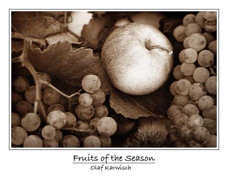 Fruits of the season
