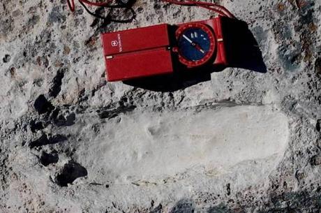 Forscher finden uralte Fußspuren in Mexiko