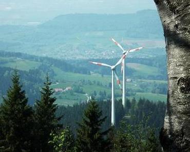 Schwarzwald-Ausblicke