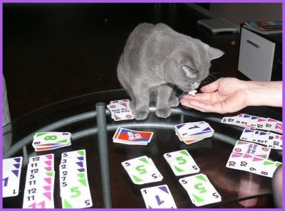 [Dies & Das] Frankfurter Buchmesse oder 7-Gänge-Menü