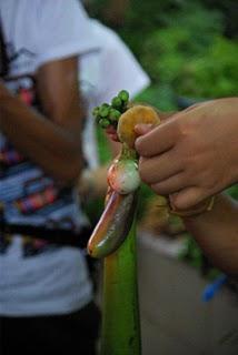 Thai Cooking Class