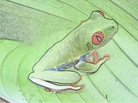 PhotoSketcher – auf dem Mac und Sie machen aus einem Foto ein Gemälde