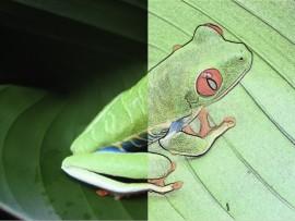 PhotoSketcher – auf dem Mac und Sie machen aus einem Foto ein Gemälde