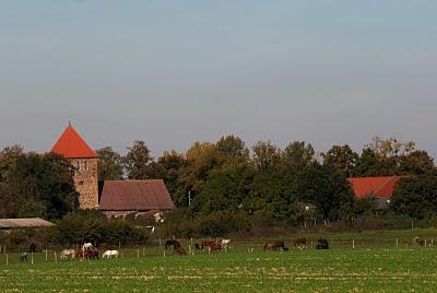 Pferdekoppel und Kirche