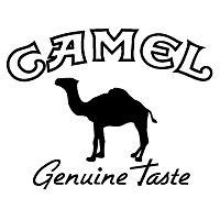 Markenname – Camel Zigaretten