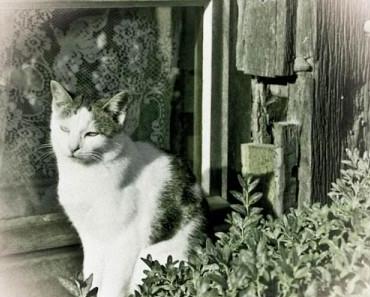 Bilder aus dem Archiv