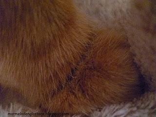 Whats / Whos that? - Quoi / Whos cela? - Was / Wer ist das?