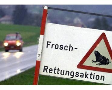 Fremde Federn, einmal anders