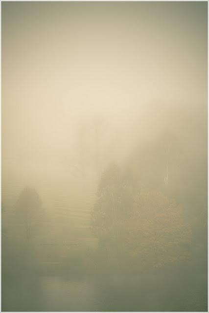 Nebel (endlich)