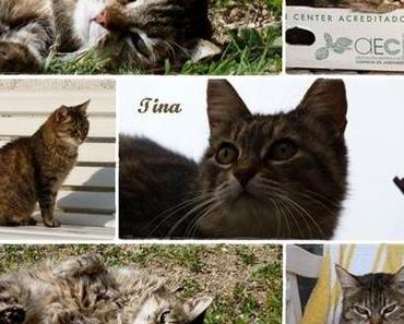 Tino + Tina …… EN MEMORIAN