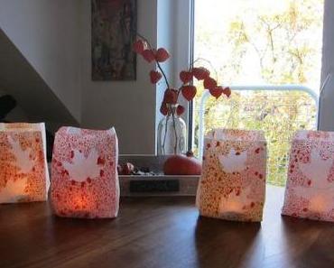 Herbstlaub | autumn leaf