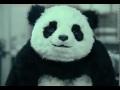 Lustiges Video: Die Rache des Panda