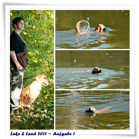 Lake & Land 2011