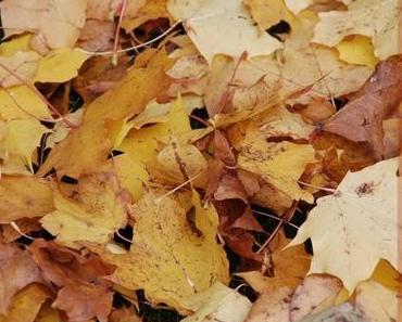 Goodbye October - Auf Wiedersehen Oktober