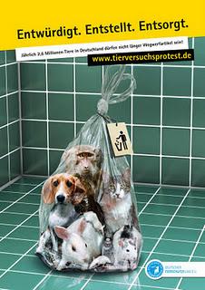 Deutscher Rekord bei Tierversuchen