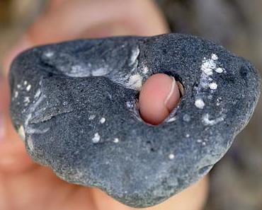 beauty is where you find it .....Novembergrau