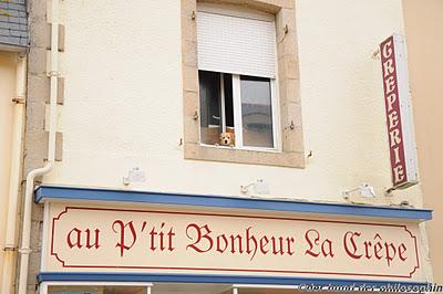 Hunde in der Bretagne