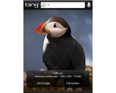 Microsofts Bing-App für Android und iOS. Windows Phone 7 muss noch warten.