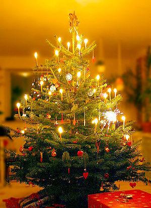A Danish Christmas tree illuminated with burni...