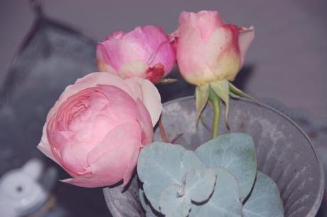 Rosen treffen auf Eukalyptus- roses meets eukalyptus