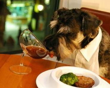 Restaurants in Berlin, die man mit Haustieren besuchen kann