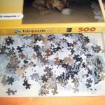 Puzzle 500 Teile Sunny Inhalt 150x150 Gutscheinverlosung Fotopuzzle