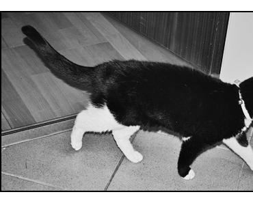 Ein ganz normaler Mittwochmorgen