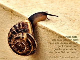wallpaper-1689754