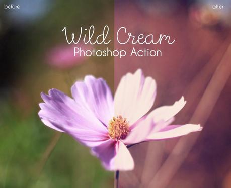 Photoshop Action: Wild Cream