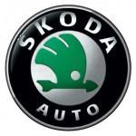 Skoda die beste Importmarke