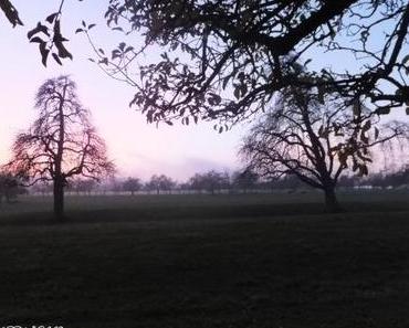 Abschied vom Herbst....