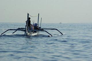 Swimming with Dolphins at Lovina