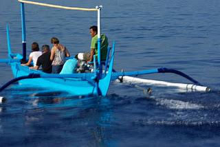 Swimming with Dolphins at Lovina